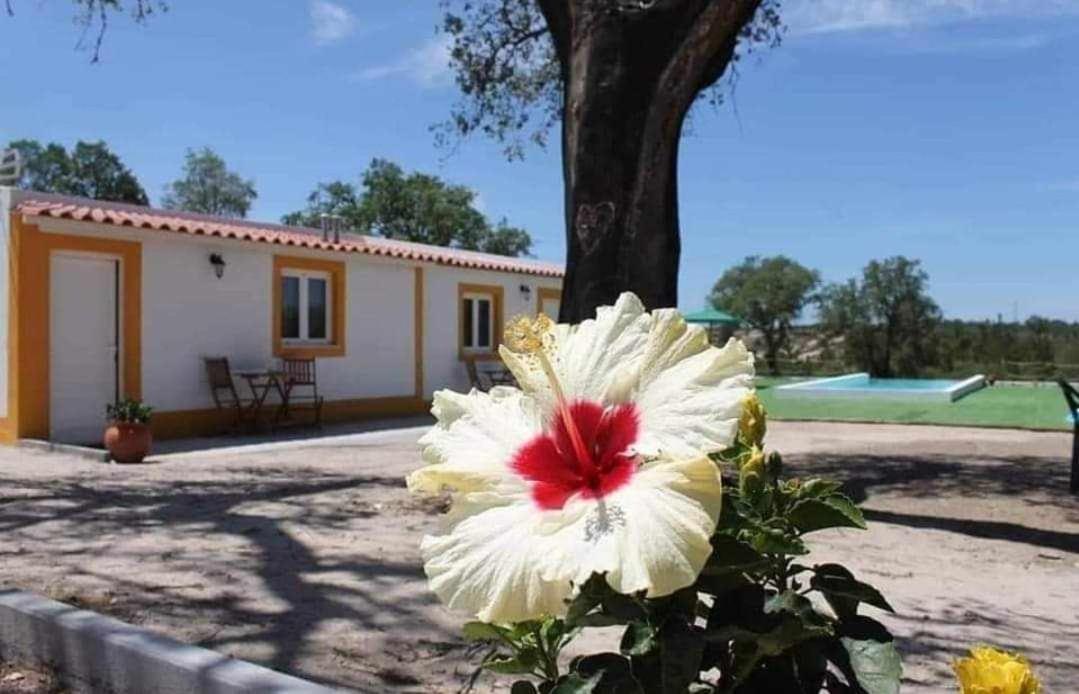 Monte Argil Apartment Montargil Luaran gambar