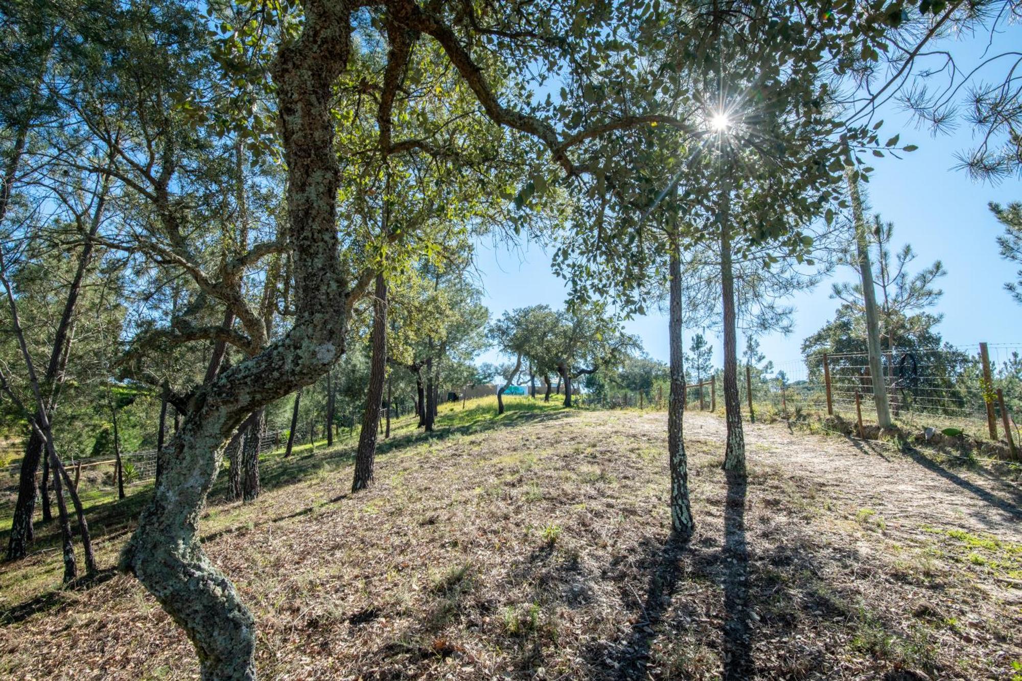 Monte Argil Apartment Montargil Luaran gambar