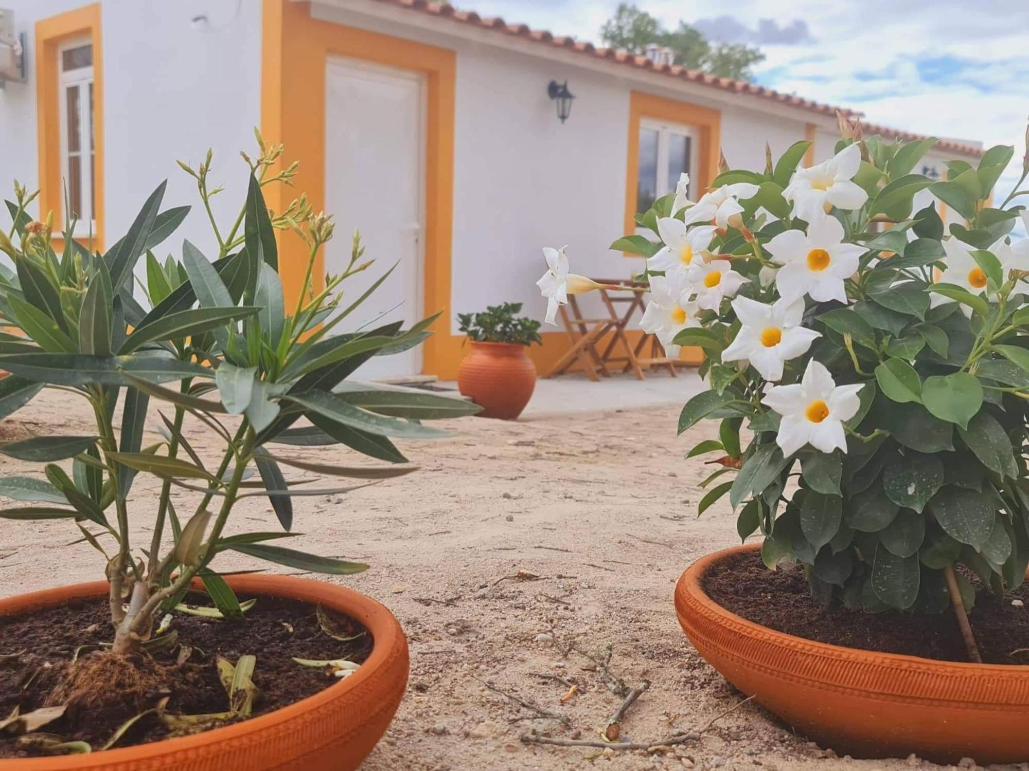 Monte Argil Apartment Montargil Luaran gambar